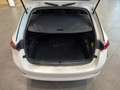 Skoda Octavia Combi 2,0 TDI Style DSG, LED, ACC Weiß - thumbnail 7
