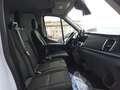 Ford Transit Kipper 2.0 TDCi 350 L3 Trend AWD 0% Fin. Weiß - thumbnail 16