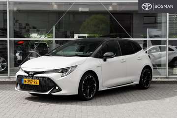 2.0 Hybrid GR-Sport Plus Afneembare Trekhaak l Dea