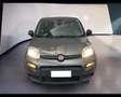 Fiat Panda III 2021 1.0 firefly hybrid s&s 70cv 5p.ti Grigio - thumbnail 1