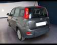 Fiat Panda III 2021 1.0 firefly hybrid s&s 70cv 5p.ti Grigio - thumbnail 14