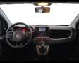 Fiat Panda III 2021 1.0 firefly hybrid s&s 70cv 5p.ti Grigio - thumbnail 2