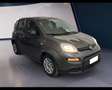 Fiat Panda III 2021 1.0 firefly hybrid s&s 70cv 5p.ti Grigio - thumbnail 11