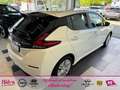 Nissan Leaf (ZE1) MY21 Visia 40kwH Klima Navi Rückfahrkamera Blanc - thumbnail 5