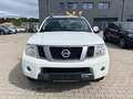 Nissan Navara Pickup Double Cab PLATINUM 4X4 2.5dCi AHK Blanc - thumbnail 4