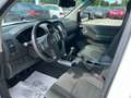 Nissan Navara Pickup Double Cab PLATINUM 4X4 2.5dCi AHK Blanc - thumbnail 11