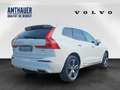 Volvo XC60 T8 AWD Inscription AHK/Head-up/360° Blanco - thumbnail 6