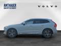 Volvo XC60 T8 AWD Inscription AHK/Head-up/360° Blanco - thumbnail 7