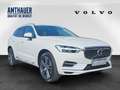 Volvo XC60 T8 AWD Inscription AHK/Head-up/360° Blanco - thumbnail 3