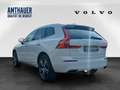 Volvo XC60 T8 AWD Inscription AHK/Head-up/360° Blanco - thumbnail 4