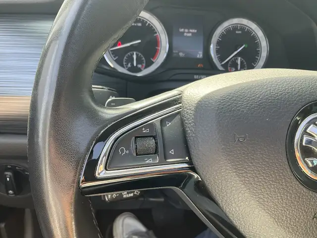 Skoda Kodiaq view 12