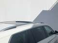 Skoda Kodiaq 7-Pers 1.5 TSI Aut7 Limited 7-Pers Pano Carplay Al Blanc - thumbnail 39