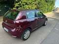 Fiat Punto 5p 1.4 bnz / cambio automatica / cinghia fatta Braun - thumbnail 9