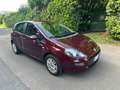 Fiat Punto 5p 1.4 bnz / cambio automatica / cinghia fatta Braun - thumbnail 7
