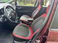 Fiat Punto 5p 1.4 bnz / cambio automatica / cinghia fatta Braun - thumbnail 3