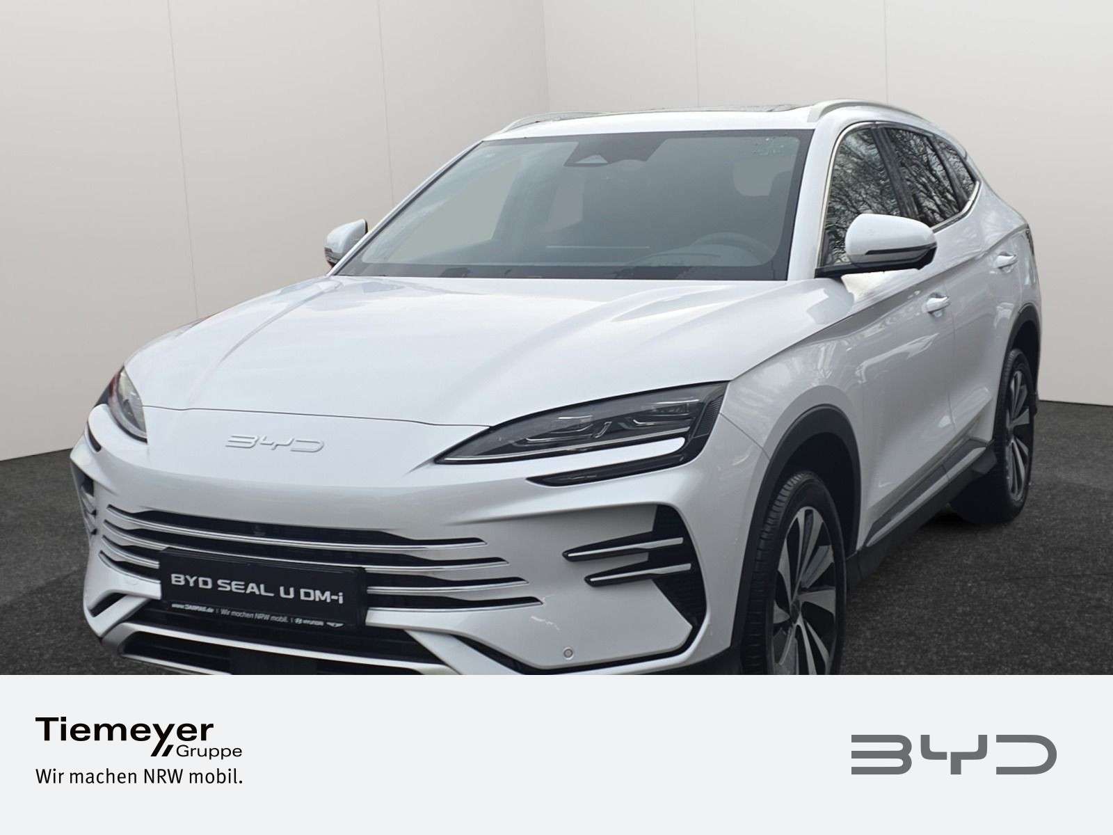 BYD Sonstige occasion