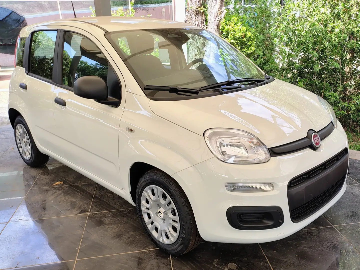 Fiat Panda Panda 1.0 FireFly S&S Hybrid Blanc - 1