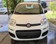 Fiat Panda Panda 1.0 FireFly S&S Hybrid Blanco - thumbnail 4