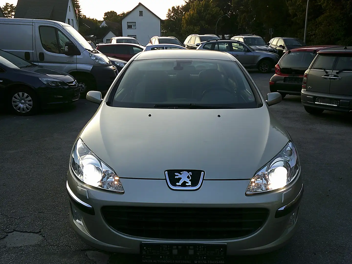 Peugeot 407 Platinum Beige - 2