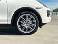 Porsche Cayenne S Tiptronic Bianco - thumbnail 6