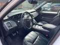 Land Rover Range Rover Sport 3.0 TDV6 HSE Dynamic PANO NAVI Bianco - thumbnail 9