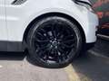 Land Rover Range Rover Sport 3.0 TDV6 HSE Dynamic PANO NAVI Bianco - thumbnail 8