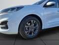 Ford Kuga 2.0 EcoBlue Aut. ST-LINE X 88 kW, 5-türig (Di Weiß - thumbnail 5
