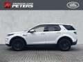 Land Rover Discovery Sport Basis AWD 2.0 D165 Mild-Hybrid EU6d StandHZG AHK-a Weiß - thumbnail 6