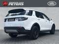 Land Rover Discovery Sport Basis AWD 2.0 D165 Mild-Hybrid EU6d StandHZG AHK-a Weiß - thumbnail 2