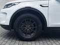 Land Rover Discovery Sport Basis AWD 2.0 D165 Mild-Hybrid EU6d StandHZG AHK-a Weiß - thumbnail 9