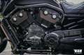 Harley-Davidson Night Rod 300er Umbau, Akrapovic, Ricks Schwinge Grau - thumbnail 18