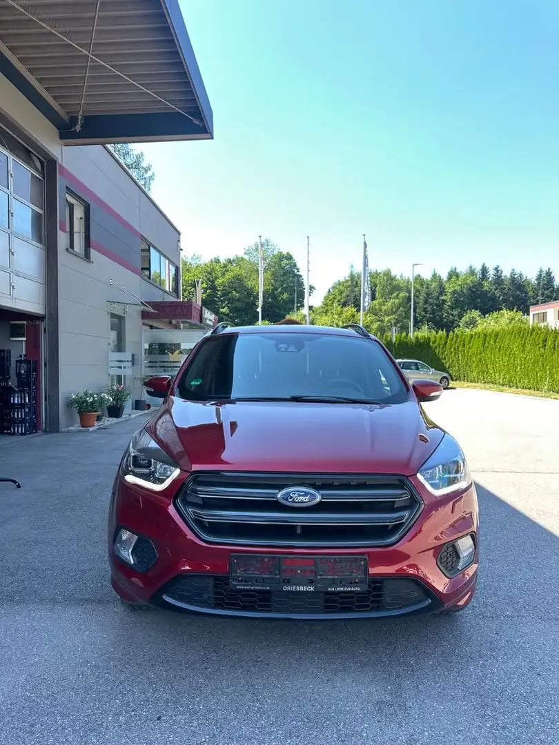 Ford Kuga ST-Line Rot - 1