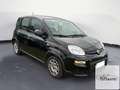 Fiat Panda Panda 1.0 FireFly S&S Hybrid Nero - thumbnail 8