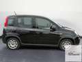 Fiat Panda Panda 1.0 FireFly S&S Hybrid Nero - thumbnail 7