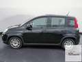 Fiat Panda Panda 1.0 FireFly S&S Hybrid Nero - thumbnail 2