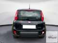 Fiat Panda Panda 1.0 FireFly S&S Hybrid Nero - thumbnail 3