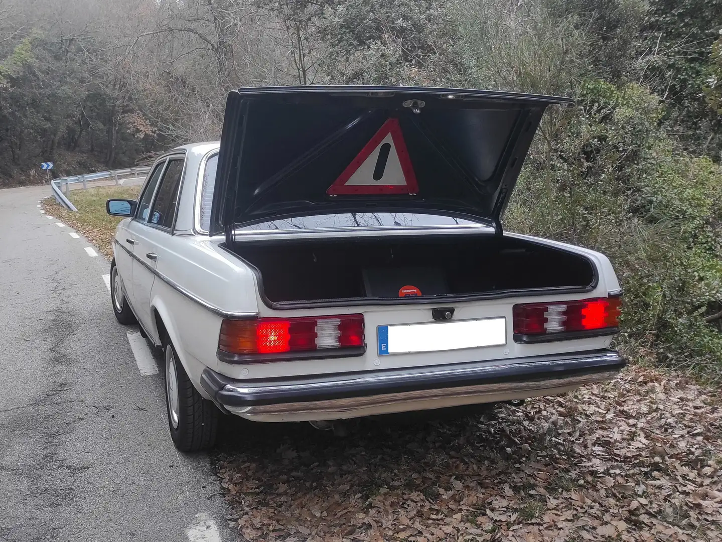Mercedes-Benz 300 300D Alb - 2