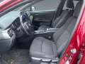 Toyota C-HR 1,8 HSD C-LUB Rot - thumbnail 9