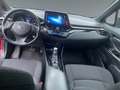 Toyota C-HR 1,8 HSD C-LUB Rot - thumbnail 10