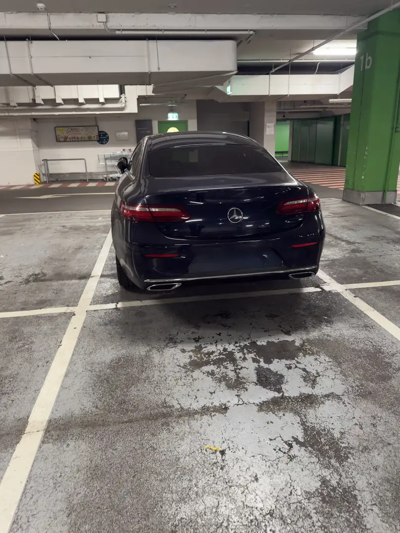 Mercedes-Benz E 220 d Aut. - 1