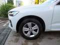 Volvo XC60 B4D Momentum Pro Aut Navi/AHK/ACC/RFK/SHZ Weiß - thumbnail 7