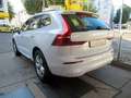 Volvo XC60 B4D Momentum Pro Aut Navi/AHK/ACC/RFK/SHZ Weiß - thumbnail 3