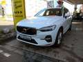 Volvo XC60 B4D Momentum Pro Aut Navi/AHK/ACC/RFK/SHZ Weiß - thumbnail 12