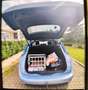 Citroen C4 Picasso e-HDi 115 ETG6 Selection, ÖAMTC PICKERL 06/27 - thumbnail 10