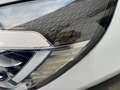 Renault Captur Captur 1.0 tce Business Gpl 100cv fap Blanc - thumbnail 11
