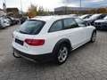 Audi A4 allroad 2,0 TDI quattro S-tronic *AHV+LEDER+XENON* Blanc - thumbnail 4