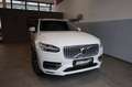 Volvo XC90 T8 PHEV Inscription Expression AWD DAB LED Weiß - thumbnail 2