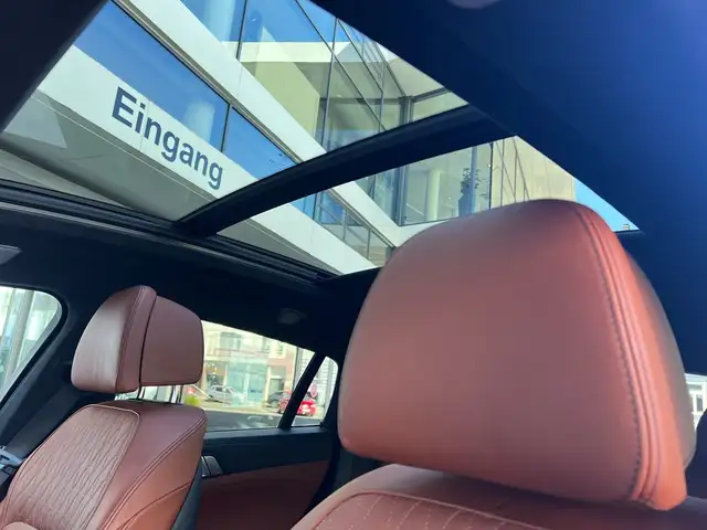 BMW X6 view 6