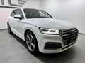 Audi Q5 50 TDI quattro, S Line, AHK, Luftfahrwerk, 20Zo... Weiß - thumbnail 4