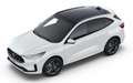 Ford Kuga 2.5 PHEV ST-Line 243pk | Panoramadak | Carplay | W Wit - thumbnail 3